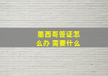 墨西哥签证怎么办 需要什么